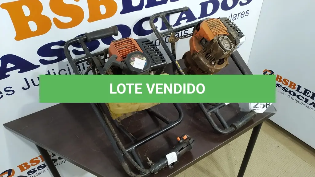 LOTE 256