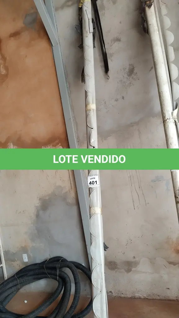 LOTE 401