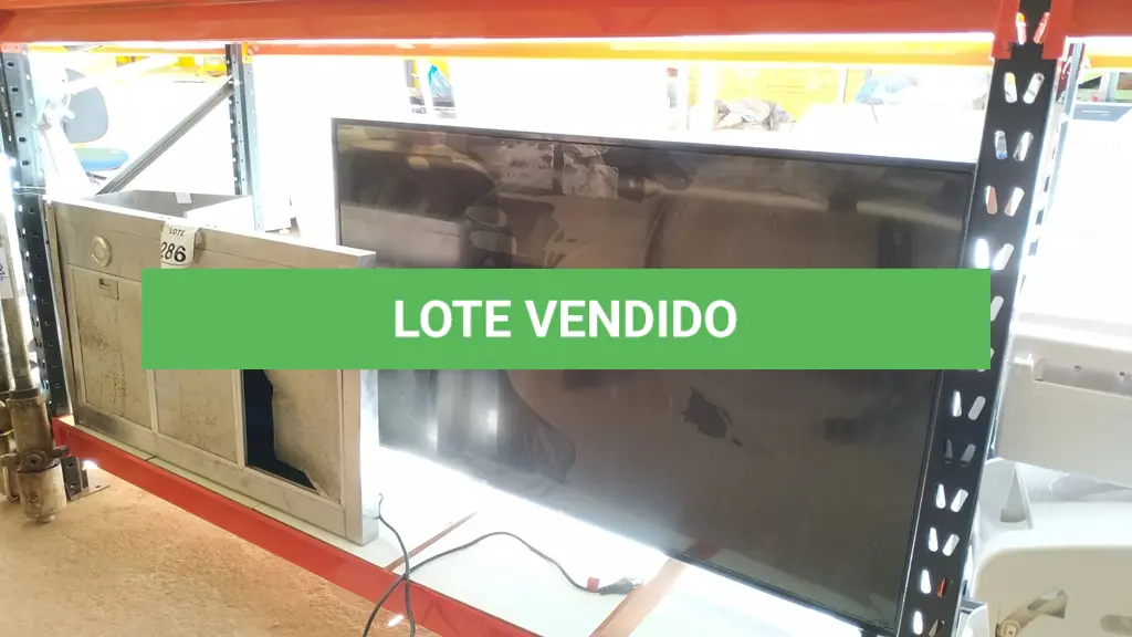 LOTE 286