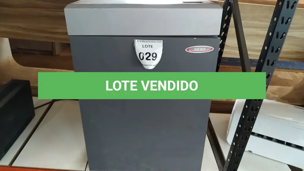 LOTE 029