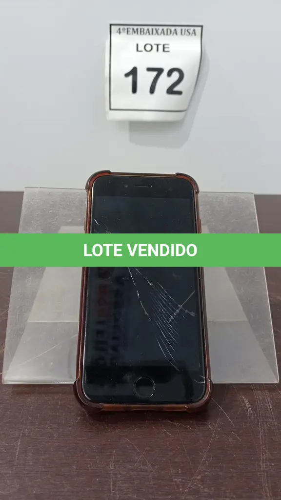 LOTE 172