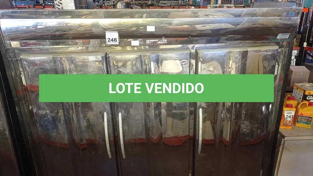 LOTE 246