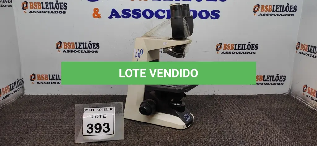 LOTE 393
