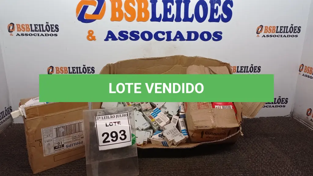 LOTE 293