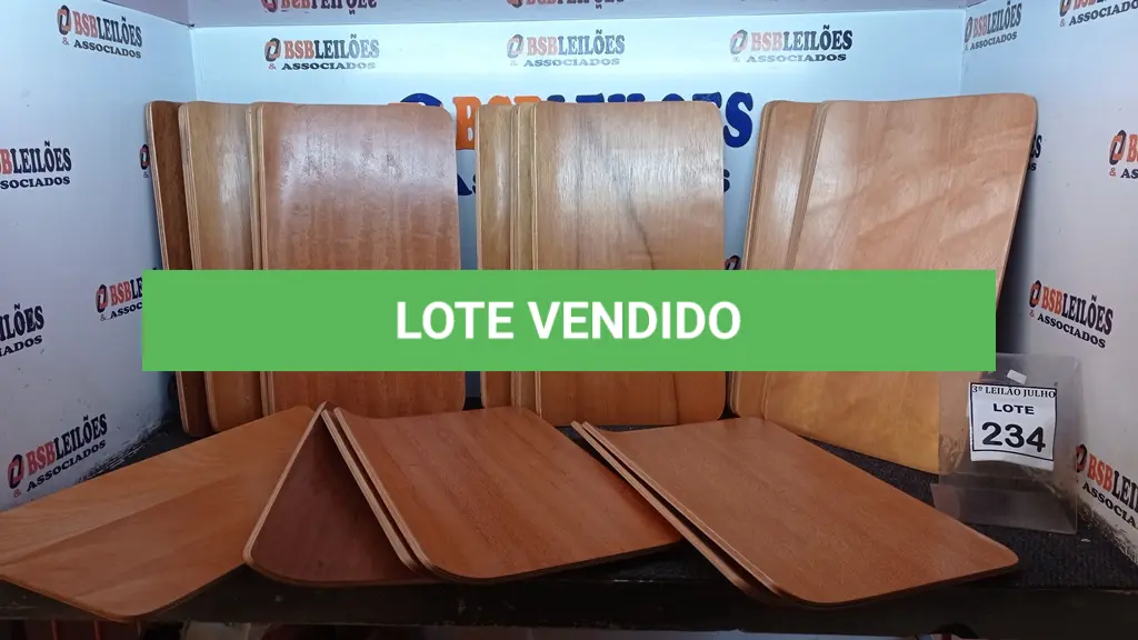 LOTE 234