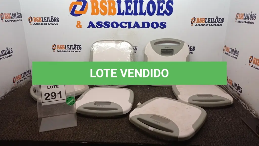 LOTE 291