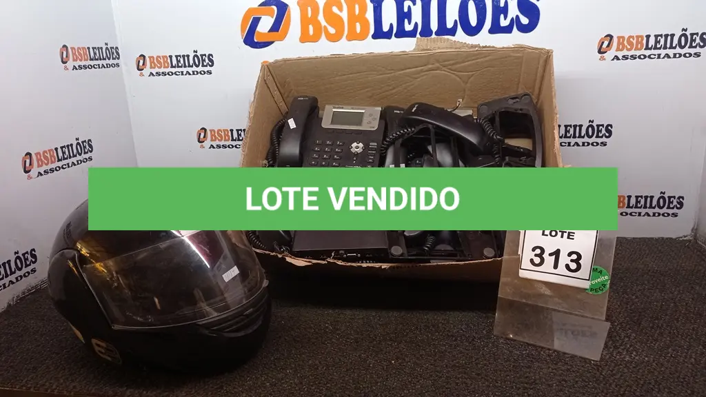 LOTE 313