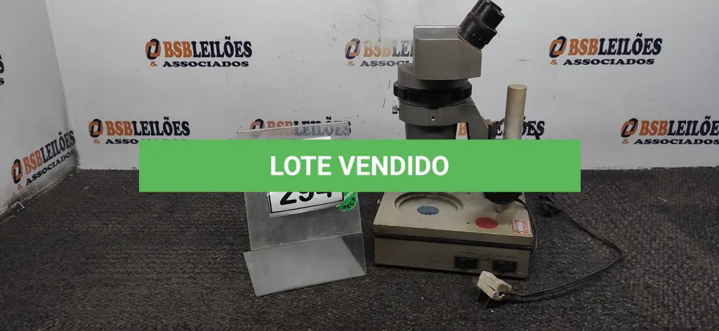 LOTE 294