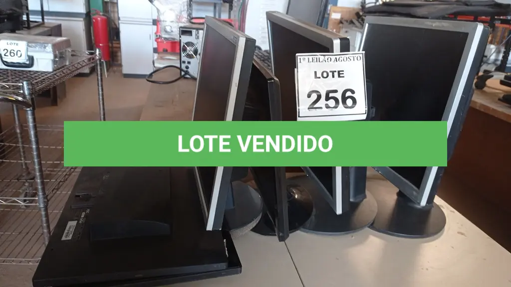 LOTE 256