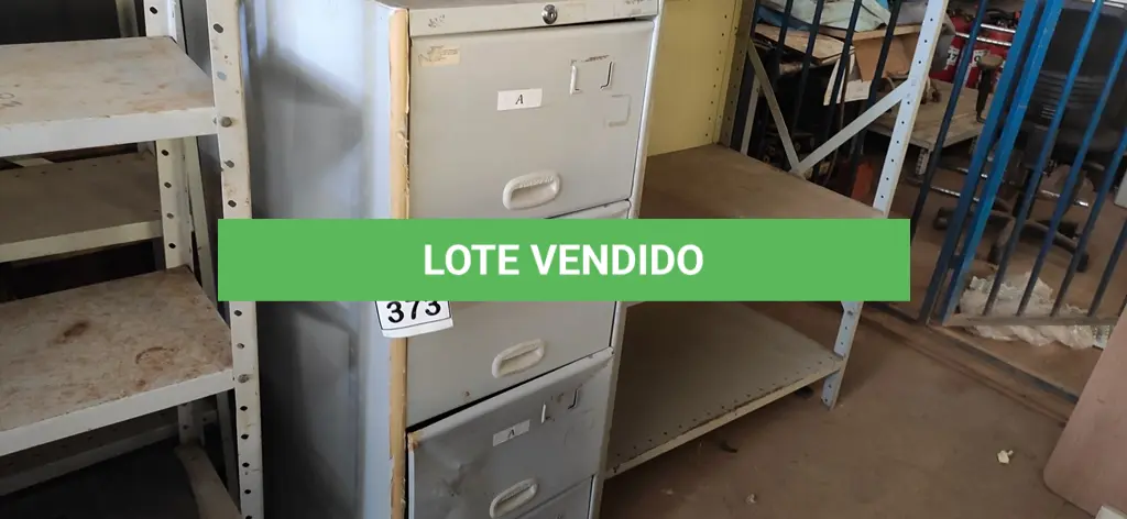 LOTE 373
