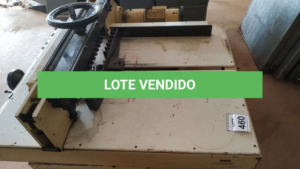 LOTE 460