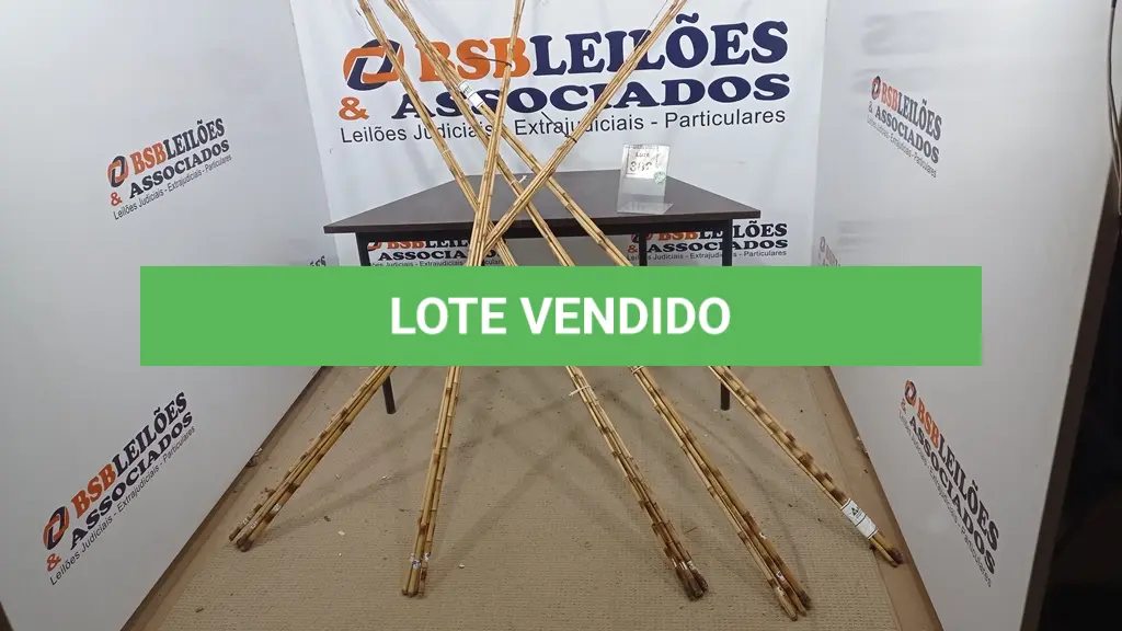 LOTE 382