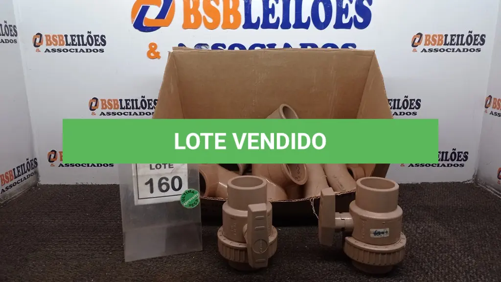 LOTE 160