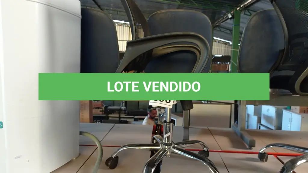 LOTE 393