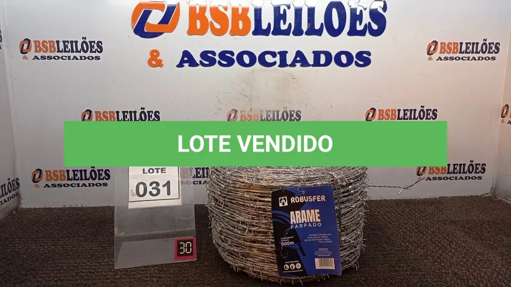 LOTE 031