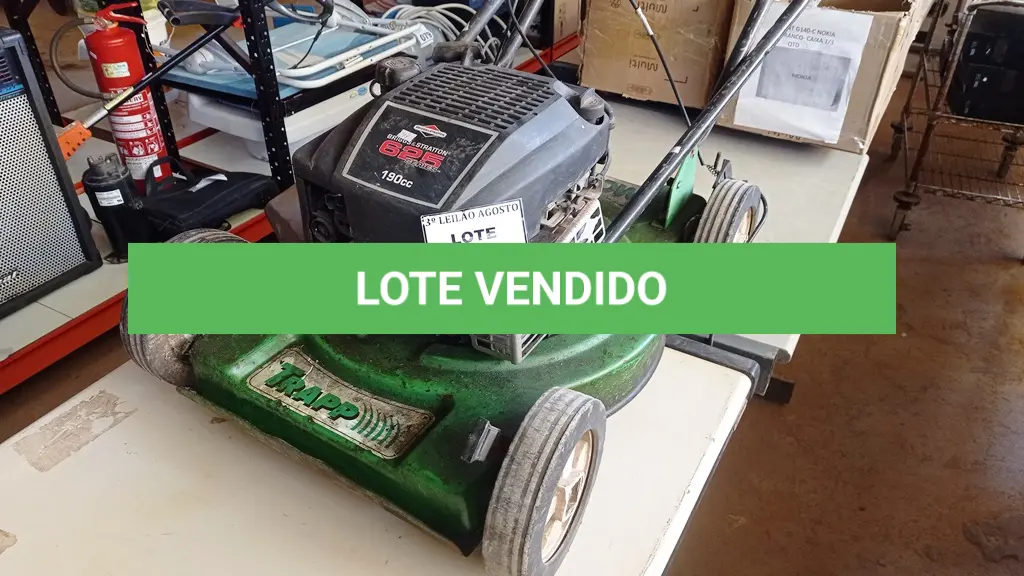 LOTE 136