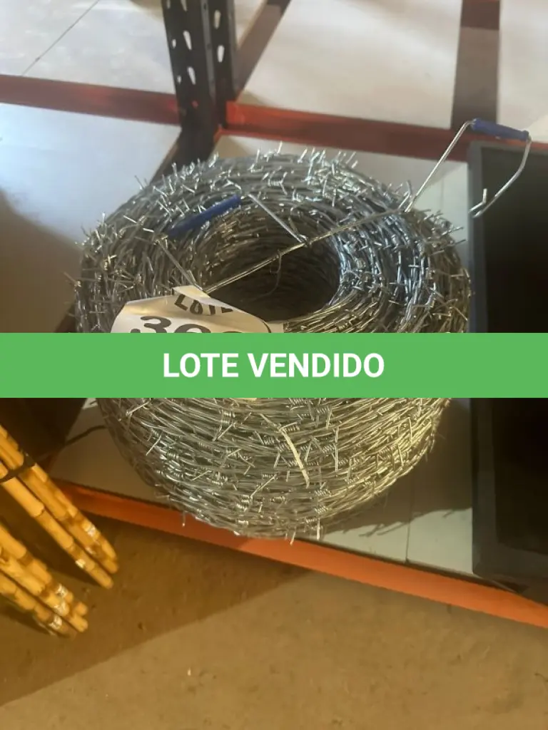 LOTE 360