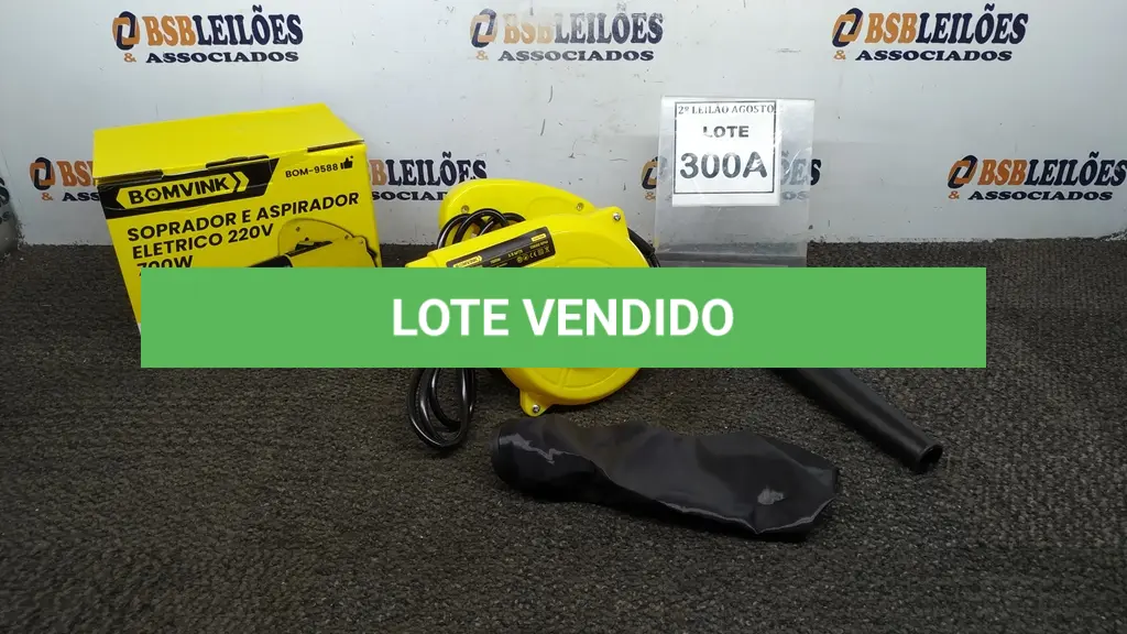 LOTE 300
