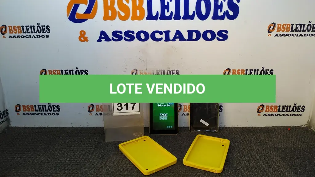 LOTE 317