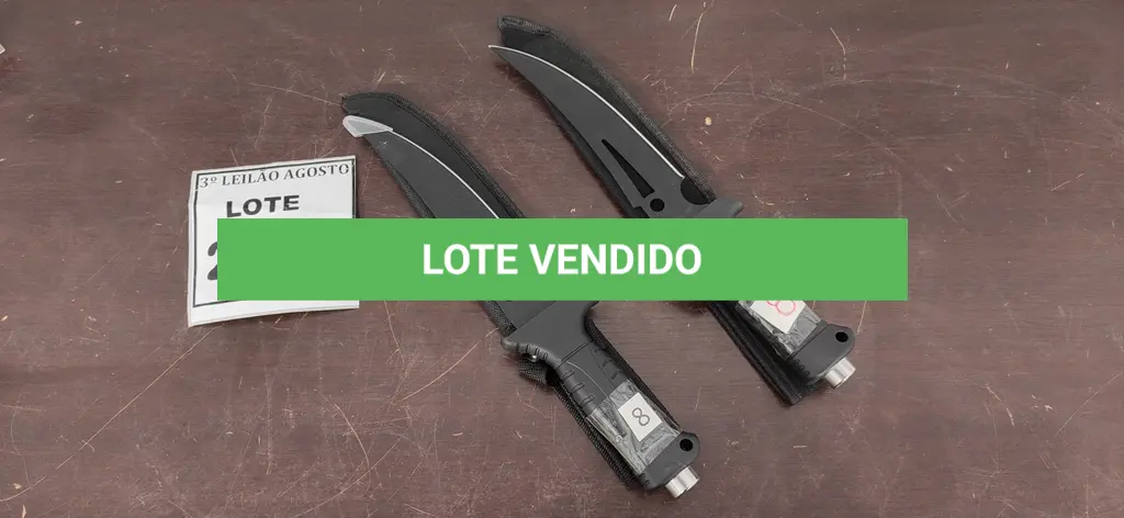 LOTE 260