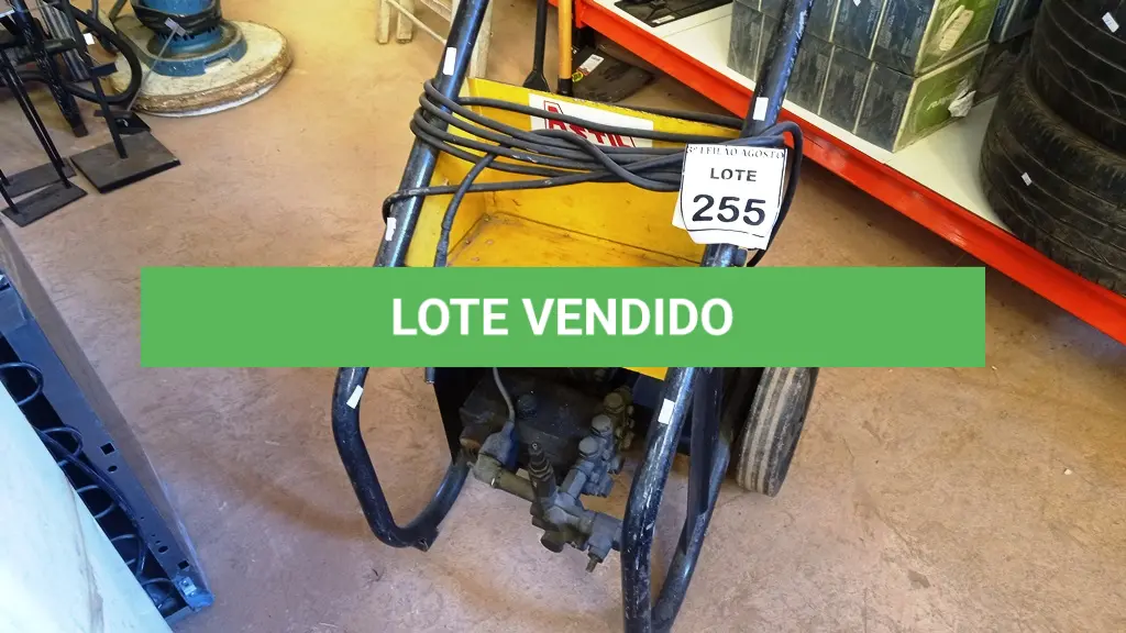 LOTE 255