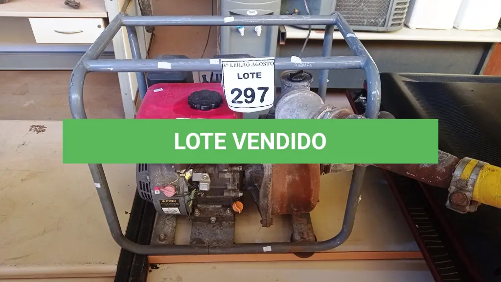 LOTE 297