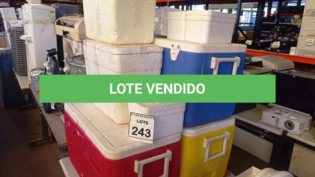 LOTE 243