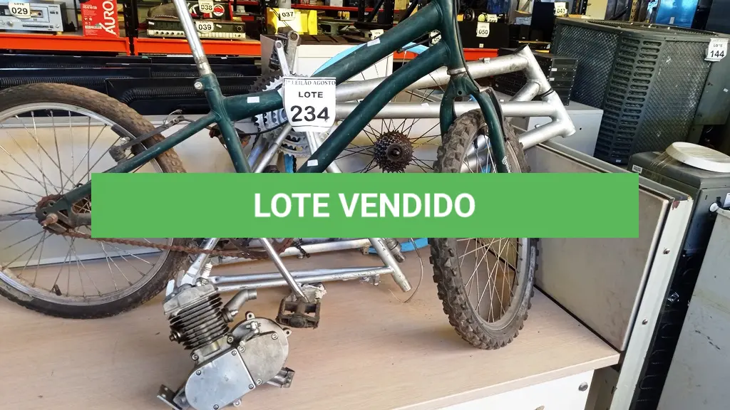 LOTE 234