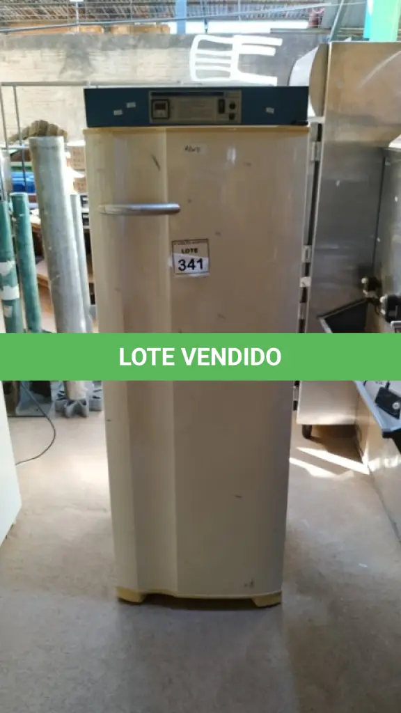 LOTE 341