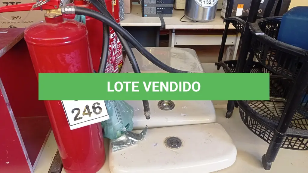 LOTE 246