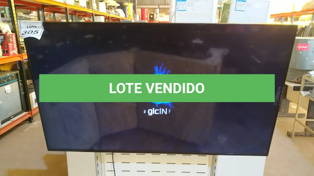 LOTE 305