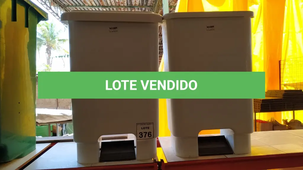 LOTE 376