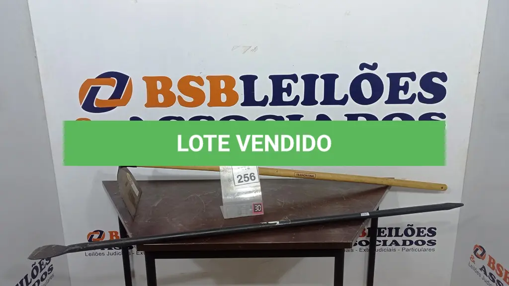 LOTE 256