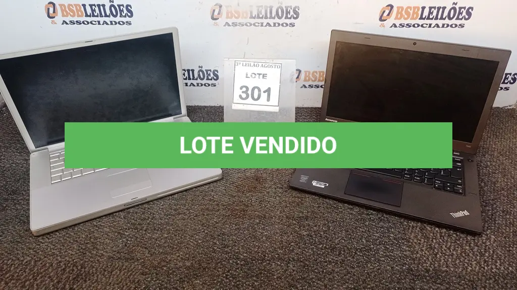 LOTE 301