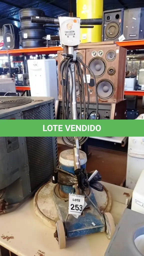 LOTE 253