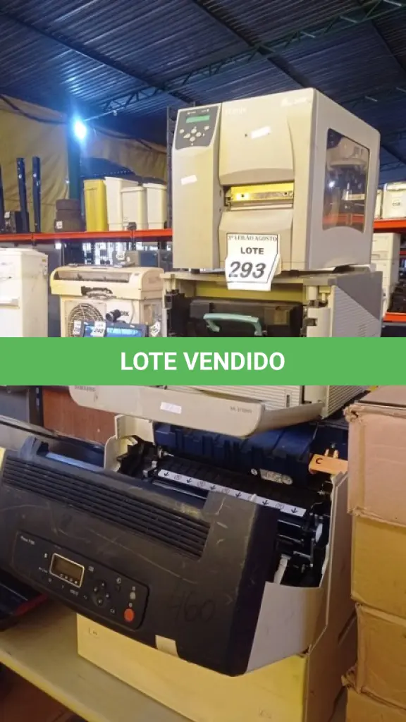 LOTE 293