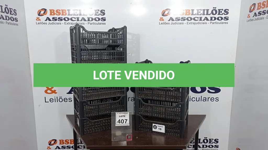 LOTE 407