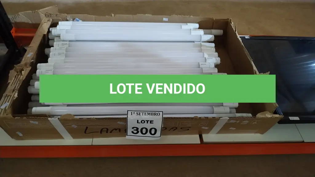 LOTE 300