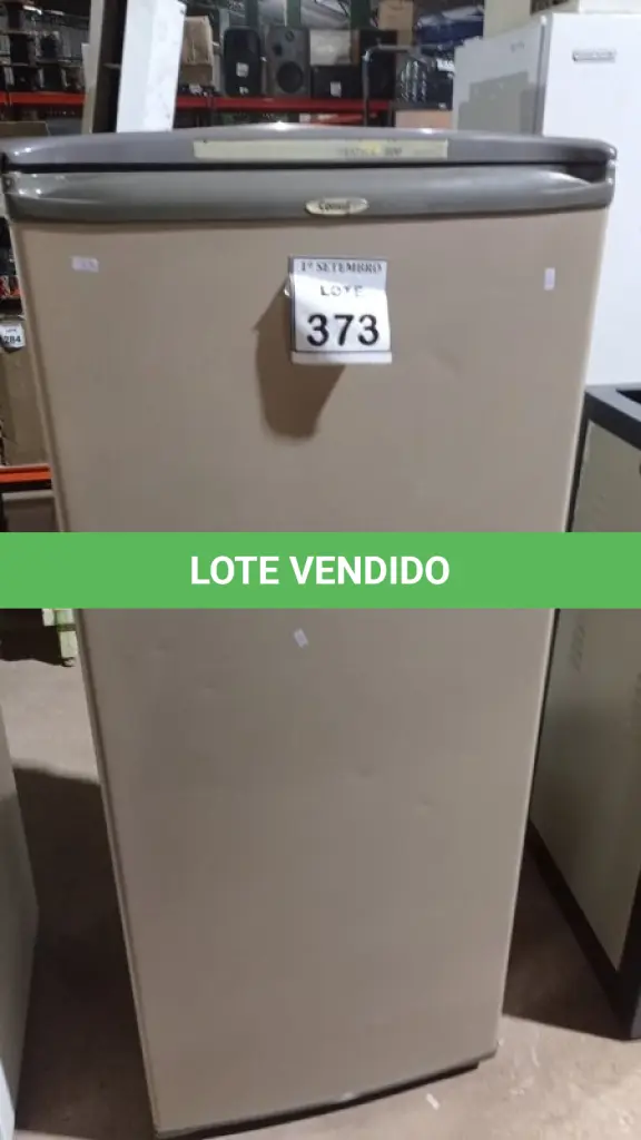 LOTE 373