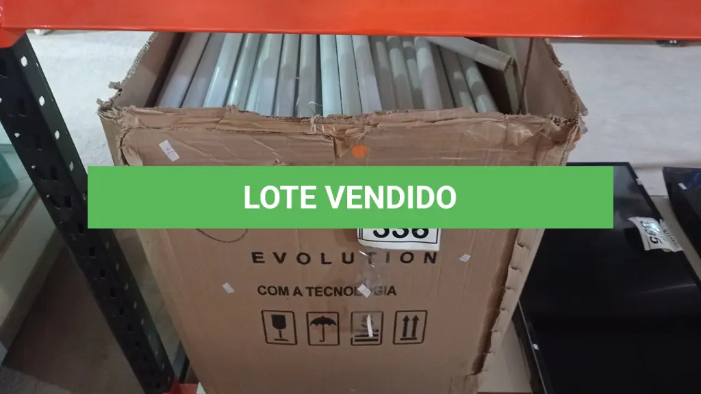 LOTE 336