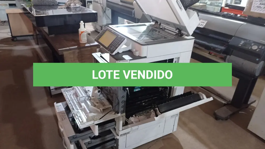 LOTE 381