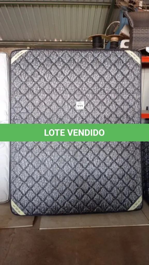 LOTE 111