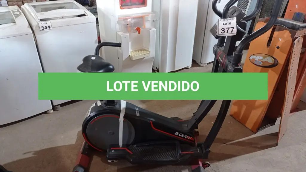 LOTE 377