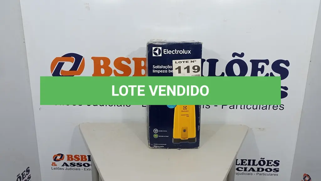 LOTE 119