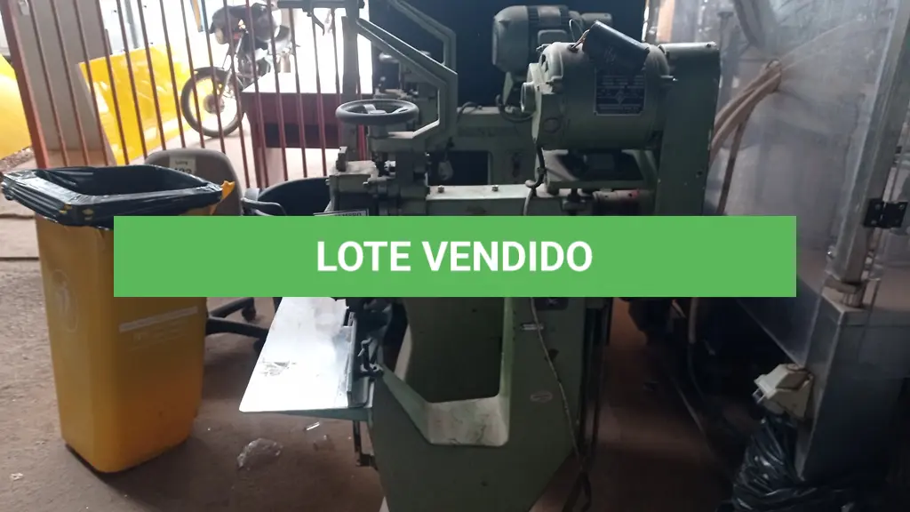 LOTE 461