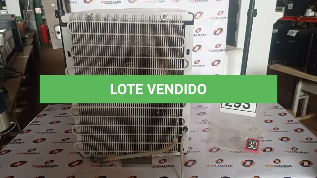 LOTE 293