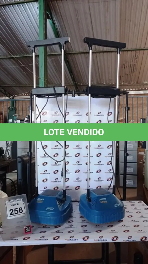 LOTE 256