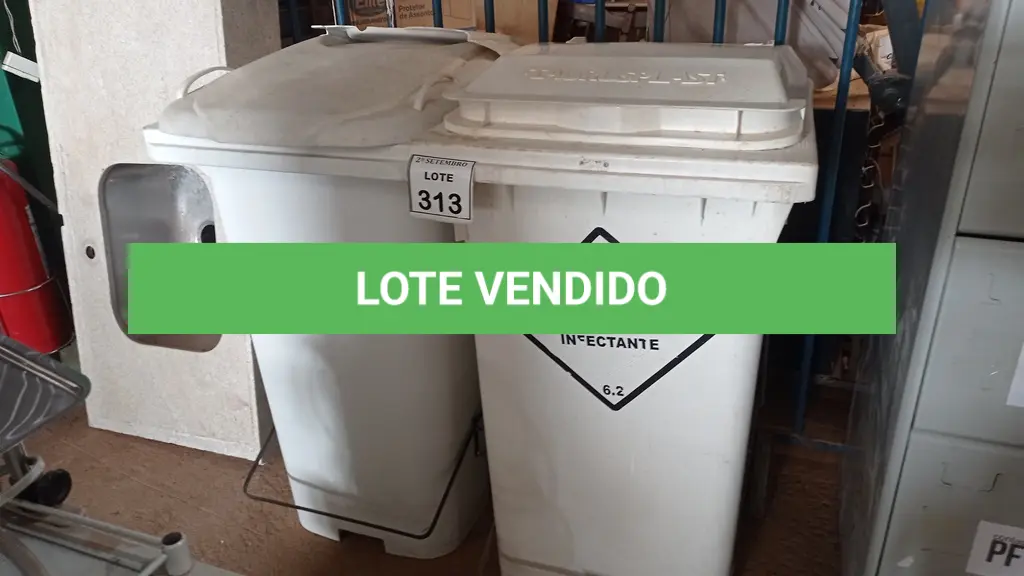 LOTE 313