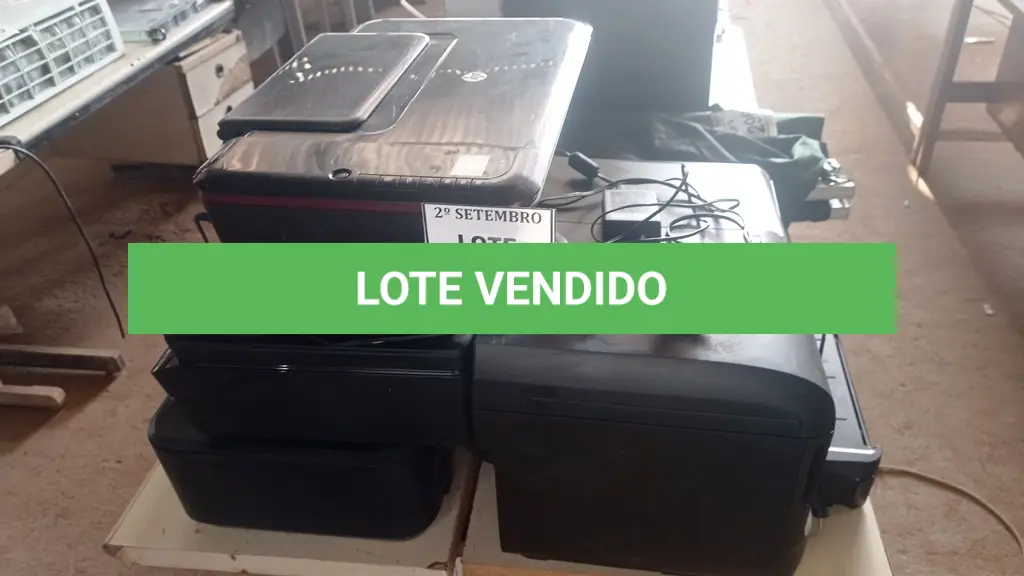 LOTE 297