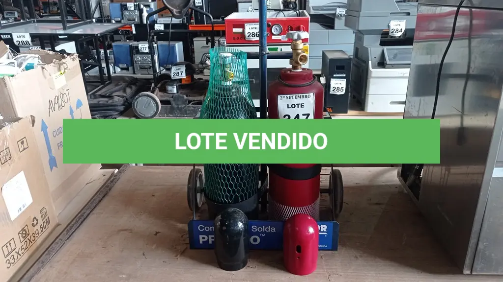 LOTE 347